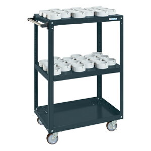 ���|�C���g10�{�� 4/14~4/17 ���������}���\��(�v�G���g���[) �T�J�G �c�[�����O���S���i�X�[�p�[���S���^�C�v�j SAP-S36ANUJD ��Ƒ� ���S�� �ۊǌ�