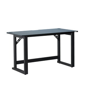 yXz11/5`11/11܂Ń|Cg5{IIContieaks OEY V2 fXN 120cm 408615 Q[~O Q[ `FA fXN PC CeA Ƌ ReB[NX eX|[c