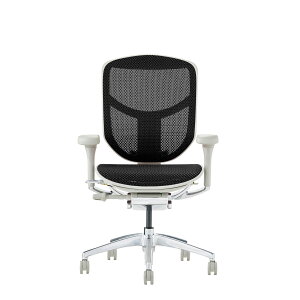 y|Cg5{z11/14~11/16JÁIyVC[OXӍ × |CgAbv(vGg[)GSq[} Ergohuman EJ2-LAM-GF-BK 389607 Ƌ CeA ItBX`FA [NX^C ItB