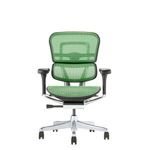 y|Cg5{z11/14~11/16JÁIyVC[OXӍ × |CgAbv(vGg[)GSq[} Ergohuman EHP2-LAM-DR-BF-GN VՃ^Cv 445420 Ƌ CeA ItBX`FA [N