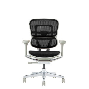 y|Cg5{z11/14~11/16JÁIyVC[OXӍ × |CgAbv(vGg[)GSq[} Ergohuman EHP2-LAM-DR-GF-BK VՃ^Cv 445421 Ƌ CeA ItBX`FA [N