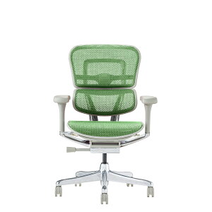 y|Cg5{z11/14~11/16JÁIyVC[OXӍ × |CgAbv(vGg[)GSq[} Ergohuman EHP2-LAM-DR-GF-GN VՃ^Cv 445425 Ƌ CeA ItBX`FA [N