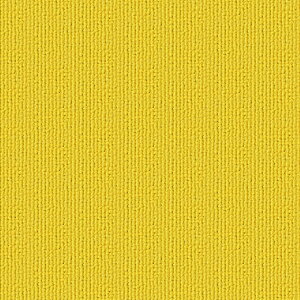 ���|�C���g10�{�� 4/14~4/17 ���������}���\��(�v�G���g���[) �V���R�[�� �p���R �\���b�h PAS217 50cm×50cm �y16�����z ������ ���� �C���e���A �^�C�� �J�[�y�b�g �R���p�N�g