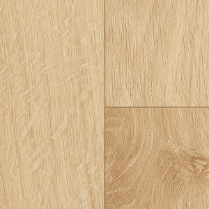 y|Cg5{z10/14~10/17JÁI}\(vGg[) VR[ oI[N E1004-9m ЁF182cm ݁F1.8mm yF9mz   CeA J[ybg