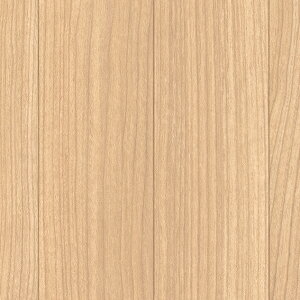 �y���|�C���g10�{���z2/19~2/23�J�ÁI���������}���\��(�v�G���g���[) �V���R�[�� �A�J�V�A E21041-3m �ЁF200cm ���݁F1.8mm �y�����F3m�z ������ ���� �C���e���A �J�[�y�b�g