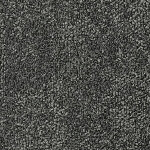 ���|�C���g10�{�� 5/23~5/27 ���������}���\��(�v�G���g���[) �V���R�[�� �s�A�h �����Y PIC699 50cm×50cm �y20�����z ������ ���� �C���e���A �J�[�y�b�g