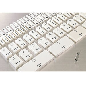 y|Cg10{zyVX[p[SAIL(12/4~12/11) vGg[ ~cg Z~bNQ[WubNo (613506-02