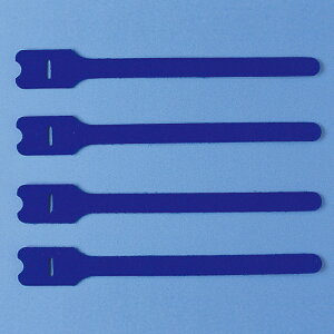 y|Cg10{z12/1̓_tf[ITTvC P[u^C ʃt@Xi[ F4