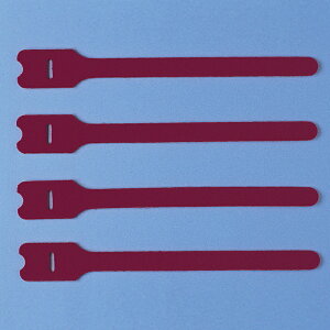 y|Cg10{zyVX[p[SAIL(12/4~12/11) vGg[ TTvC P[u^C ʃt@Xi[ F4