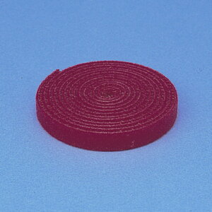 y|Cg10{z12/1̓_tf[ITTvC P[u^C ʃt@Xi[ F1