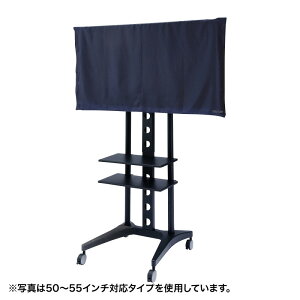 y|Cg10{z11/1̓_tf[ITTvC ^fBXvCJo[ 60~65C`Ή F1