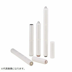 �y�|�C���g10�{�z2/1�̓����_�t���f�[�I�g�[�Z���@TCSE�|E020S�|S1FE