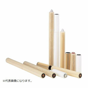 y|Cg10{zyVX[p[SAIL(12/4~12/11) vGg[ g[Z@TCG|045|S1FN