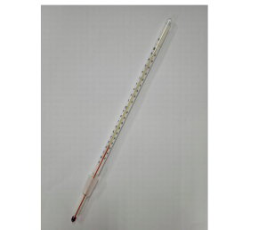 y|Cg10{z11/20~11/27 ubNtCf[x|CgAbv(vGg[) v ʃX킹xv ԉt JC-3462