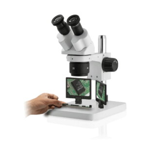 y|Cg10{z11/1̓_tf[I}CNlbg őY@Œϔ{̌ MK02