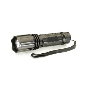 ���|�C���g10�{�� 4/4~4/10 ���������}���\��(�v�G���g���[) �^�X�R�W���p�� ���o��LED�n���f�B�u���b�N���C�g 405nm �����F1