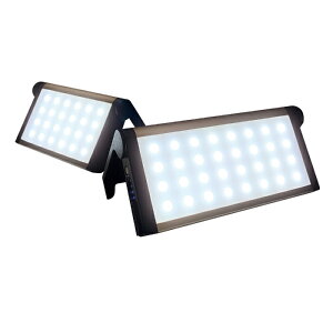 y|Cg10{z11/1̓_tf[I^XRWp RpNg800lm F1