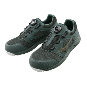 y|Cg5{z10/14~10/17JÁI}\(vGg[) ^XRWp SƌC ALmIGHTYLS252LBOA O[×S[h 27.0cm F1