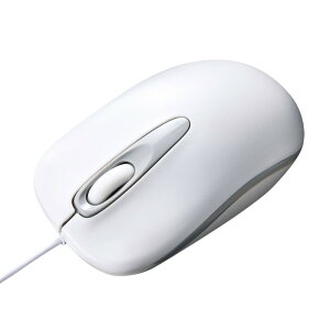 y|Cg10{zyVX[p[SAIL(12/4~12/11) vGg[ TTvC }EX Lw F1