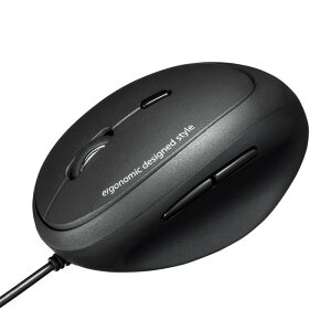 y|Cg10{zyVX[p[SAIL(12/4~12/11) vGg[ TTvC LGSm~NX}EX F1