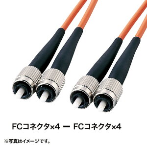 y|Cg5{z10/4~10/9JÁI}\(vGg[) TTvC hoXgt@CoP[u }`50m FC×4-FC×4 50m F1