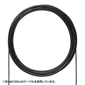 y|Cg10{zyVX[p[SAIL(12/4~12/11) vGg[ TTvC LANP[u OphJeS6A F1