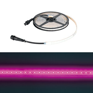 ���|�C���g10�{�� �y�V�X�[�p�[SAIL(3/4~3/11) ���v�G���g���[ �W�F�t�R�� LED�e�[�v���C�g SJ-T01-05PP�y�����F1�z