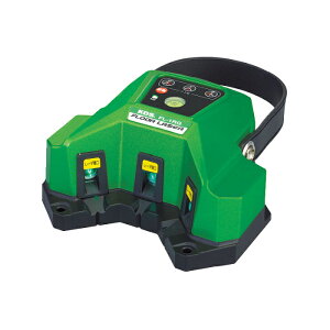 ���|�C���g10�{�� 4/14~4/17 ���������}���\��(�v�G���g���[) �����e�b�NKDS �t���A���[�U�[�O���[�� FL-1RG