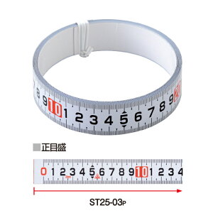 y|Cg10{z12/1̓_tf[IebNKDS ZbeBOW[253mڐ ST25-03P