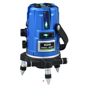 ���|�C���g10�{�� 1/24~1/29 ���������}���\��(�v�G���g���[) �����e�b�NKDS ���A���O���[�����[�U�[601�����O�r�t RGL-601RSA