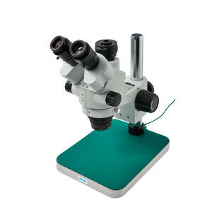 y|Cg10{z11/1̓_tf[I z[U Ǒ L-47