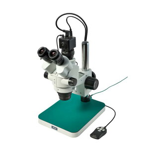 y|Cg10{z11/1̓_tf[I z[U Ǒij^[pj L-KIT1248