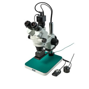 y|Cg10{z11/1̓_tf[I z[U Ǒij^[pj L-KIT1251