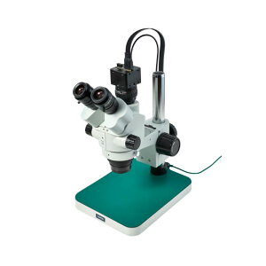 y|Cg10{z11/1̓_tf[I z[U Ǒij^[pj L-KIT1259