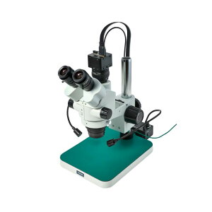 y|Cg10{z11/1̓_tf[I z[U Ǒij^[pj L-KIT1261