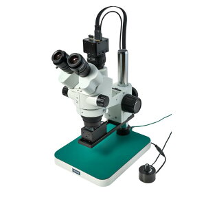 y|Cg10{z11/1̓_tf[I z[U Ǒij^[pj L-KIT1262