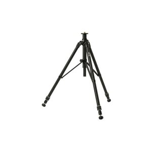 ���|�C���g10�{�� 7/4~7/11 ���������}���\��(�v�G���g���[) STS �X�L���i�[�p�G���x�[�^�[�O�r EL-SLS