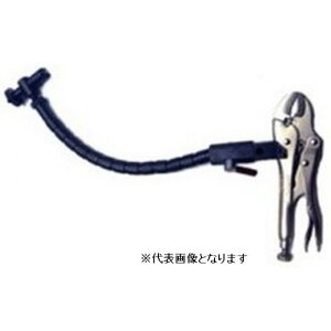 y|Cg10{z12/1̓_tf[I tWc[ tLVuE}VK[hioCXNvj