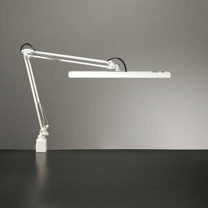 ���|�C���g10�{�� �y�V�X�[�p�[SAIL(3/4~3/11) ���v�G���g���[ �R�c�Ɩ� Z-Light �z���C�g Z-10GW