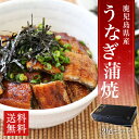 【30セット限定】【送料無料】うなぎ蒲焼 鹿児島産 2尾 特大 無頭 国内産 土用丑の日 ウナギ ランキングお取り寄せ