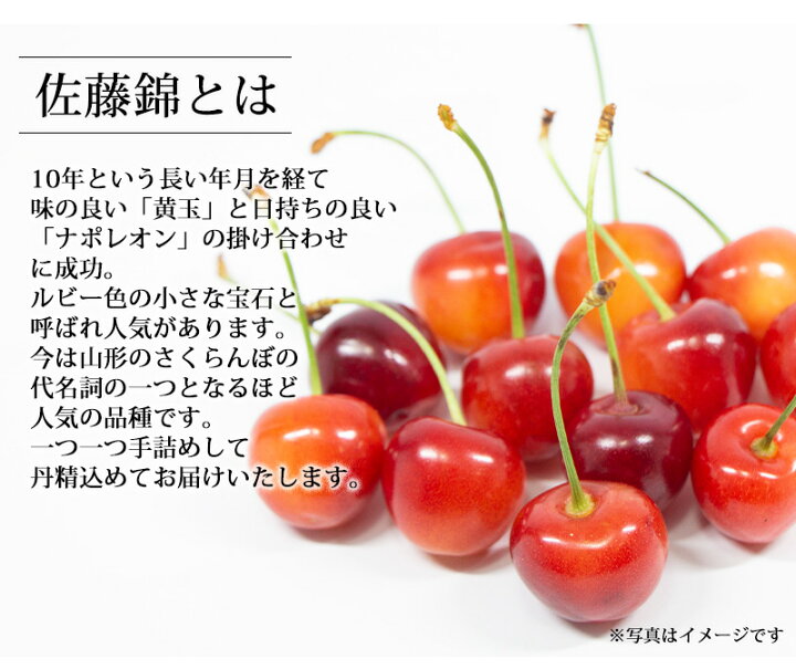 楽天市場】山形県 佐藤錦と紅王セット （佐藤錦300g+紅王300g）送料 