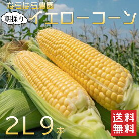 福岡県産 ならはら農園 朝採りイエローコーン　2L 9本入り（約3kg）/ 【送料無料】とうもろこし　福岡県産 朝採れ 黄色のとうもろこし【6月5日以降順次発送】