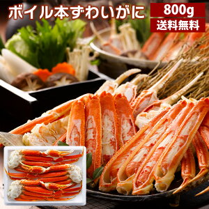 {C{킢  800g Ⓚ Jj {C YCKj ȒP {YCKj Ε Ε ~Mtg