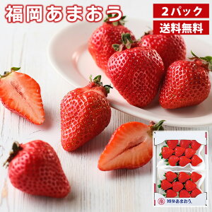 ܂  270g×2pbN Mtg Y uh  C`S Ε Ε ~Mtgi͂ԁF12{`12{j