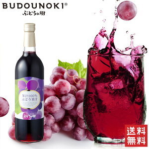 Ԃǂ̎@Ԃǂʏ`@t{g@750ml /  ԂǂW[X ʏ`100@Xg[gW[X @Mtg  񂹃OikCEʓrj