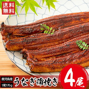 Y Ȃ 4 (1170gO)   Y Y Y yp̉N EiM Ȃ Ă V j  Ⓚ O Hו Mtg Yn Mtg F