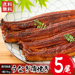 Y Ȃ 5 (1170gO)   Y Y Y yp̉N EiM Ȃ Ă V j  Ⓚ O Hו Mtg Yn Mtg F