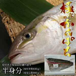 かんぱち 魚の人気商品 通販 価格比較 価格 Com