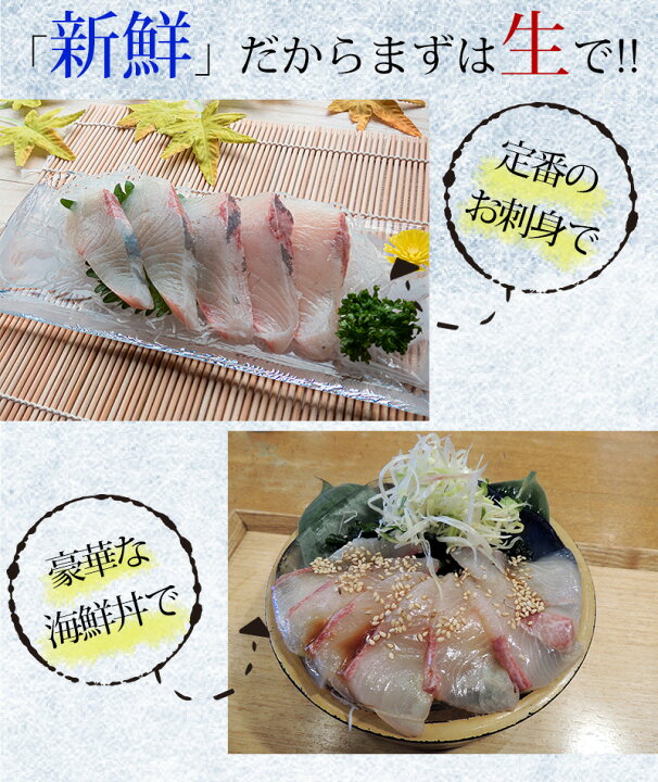 楽天市場 送料無料 皮引きもｏｋ 鹿児島県産 極みのカンパチ 骨無し半身分 ４つ切り ロイン 背 腹各１本 皮付き約930ｇ 皮なし約900ｇ 選択可能 骨なし 小浜水産 かんぱち 半身 贈答品 養殖環八 産地直送 新鮮 刺身 しゃぶしゃぶ 敬老の日 ハローデイ楽天市場店