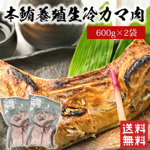 マグロ カマ 魚の人気商品 通販 価格比較 価格 Com